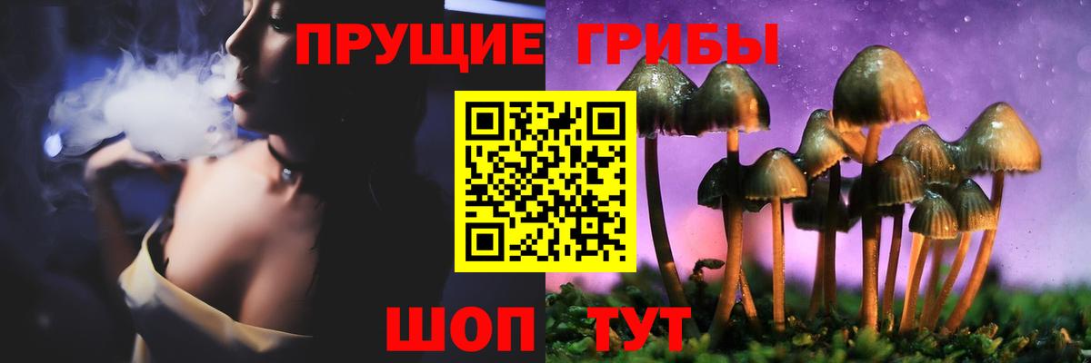 Кузнецк  Псилоцибиновые грибы Psilocybe  купить закладку  Вход с VPN 